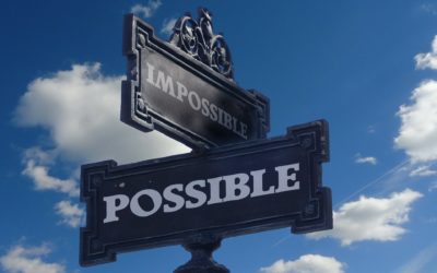 Have You Created an Impossible Business?